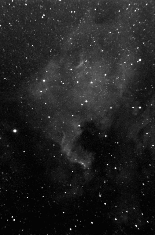 NGC7000