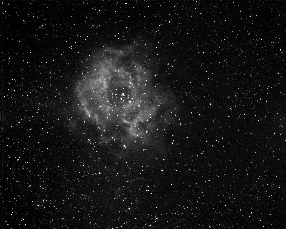 Roseta Web