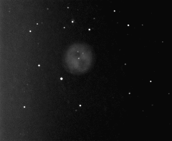 M97 Owl