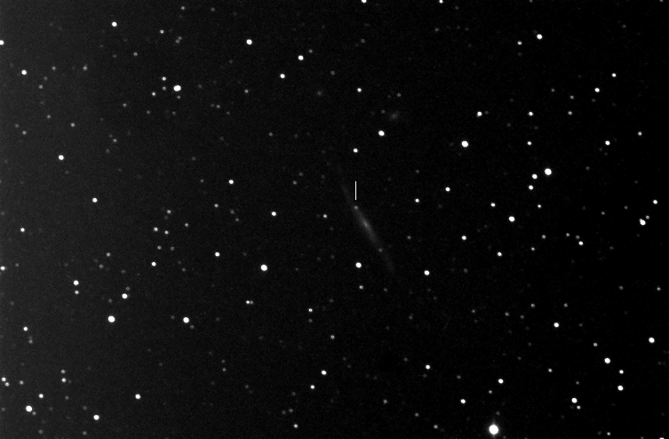 SN10bjM