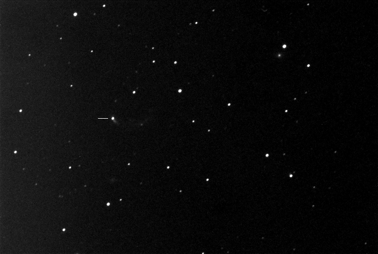 SN10jlOK