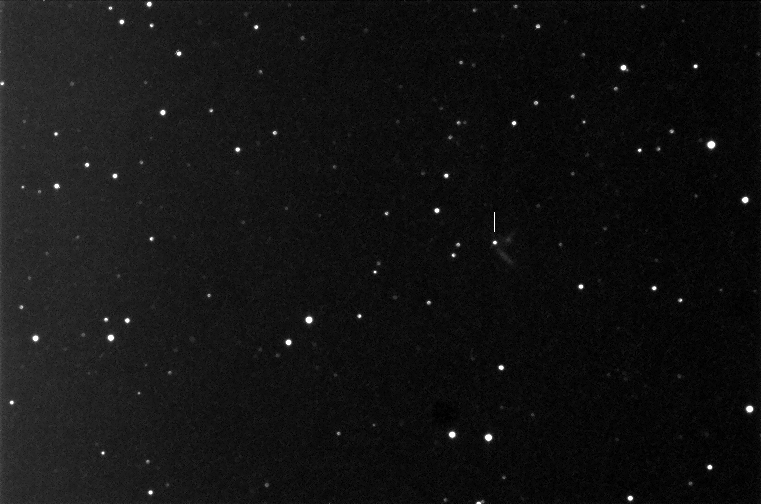 SN2.011aa