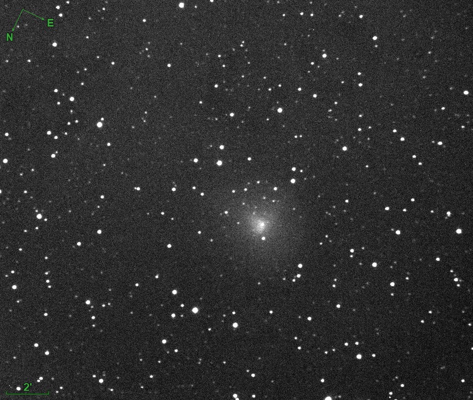 29P SW M