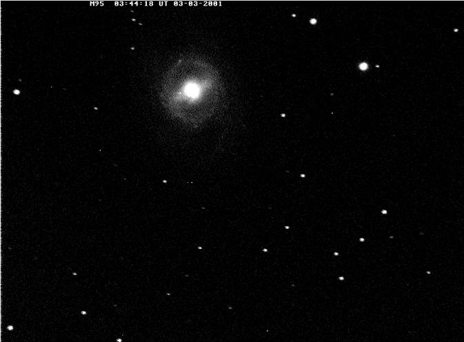 M95